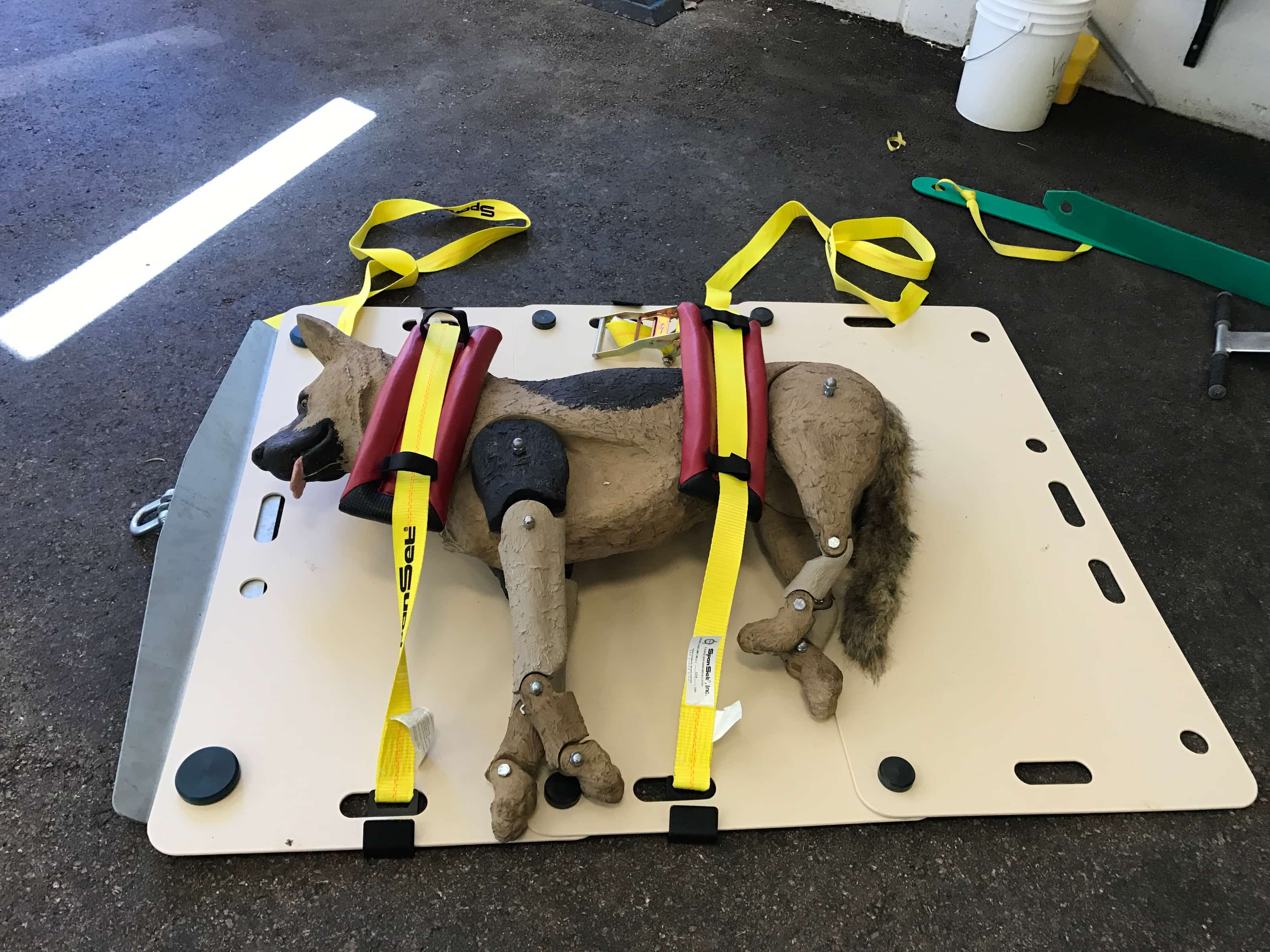 Technical Large Animal Rescue ATR Training Equipment